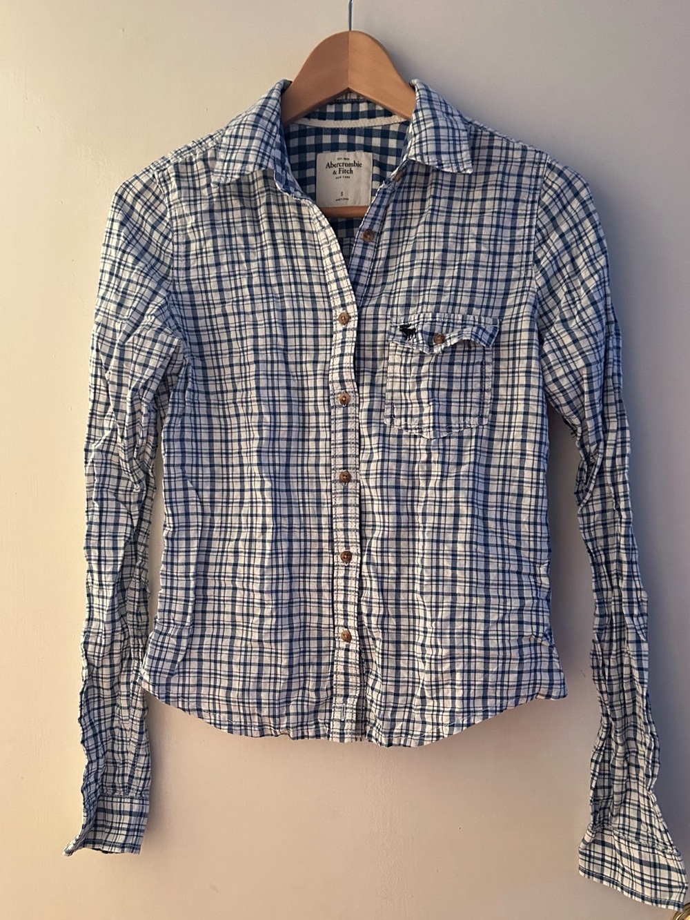 Abercrombie & Fitch Blue and White Plaid Button Up